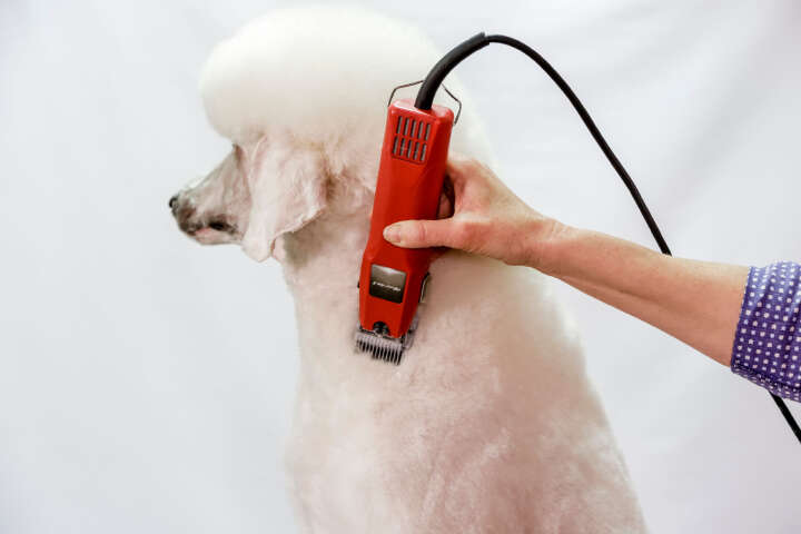 AESCULAP Schermaschine Favorita II